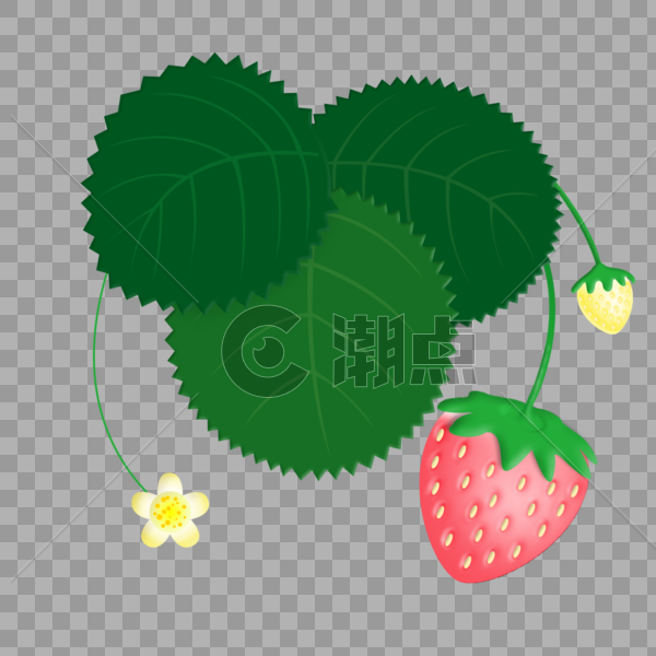 一颗粉红草莓、白色草莓花、草莓绿叶植物图片素材免费下载