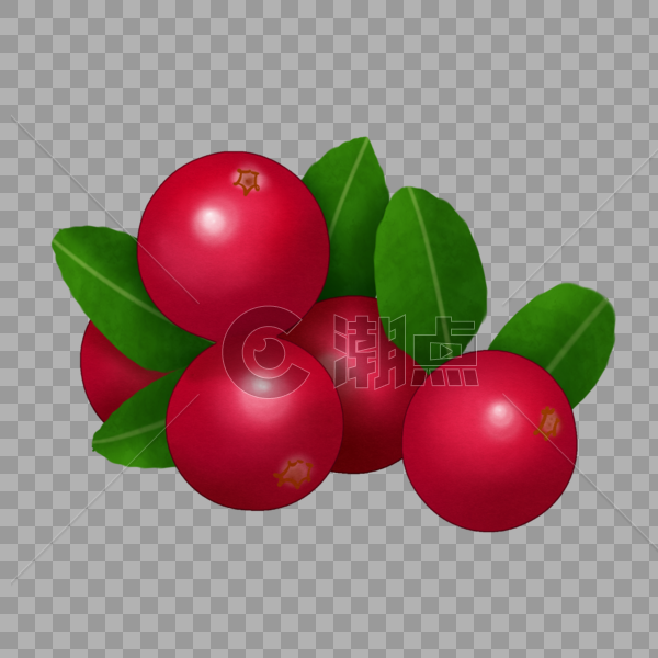 五个蔓越莓水果插图图片素材免费下载