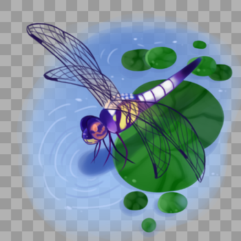 夏日的蜻蜓元素图片素材免费下载