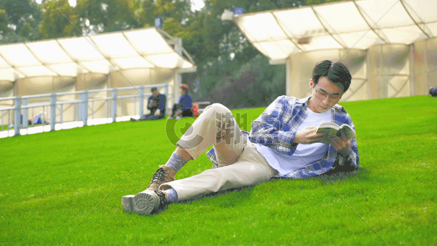 穿格子衫的男生在草地看书GIF图片素材免费下载