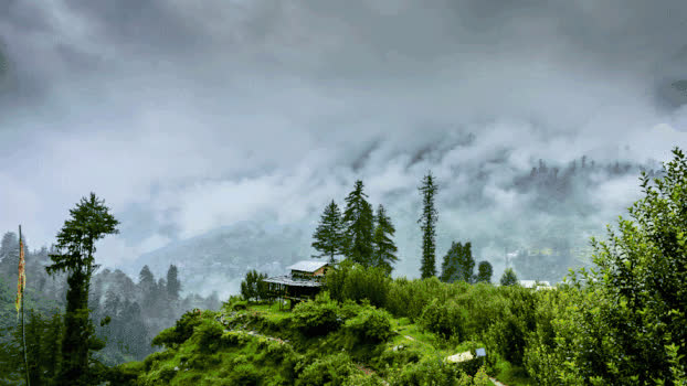 青城山中的云雾缭绕GIF图片素材免费下载