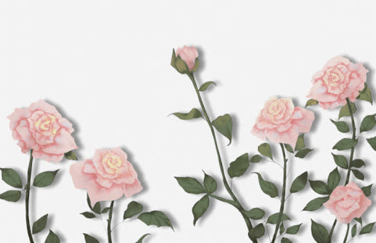 花卉GIF图片素材免费下载