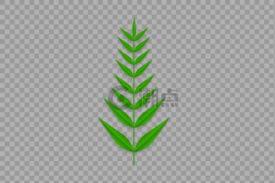 绿色长青树叶素材图片素材免费下载 高清版权图片可商用3605 潮点视频