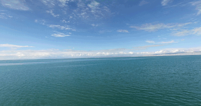 青海湖夏季航拍视频GIF图片素材免费下载