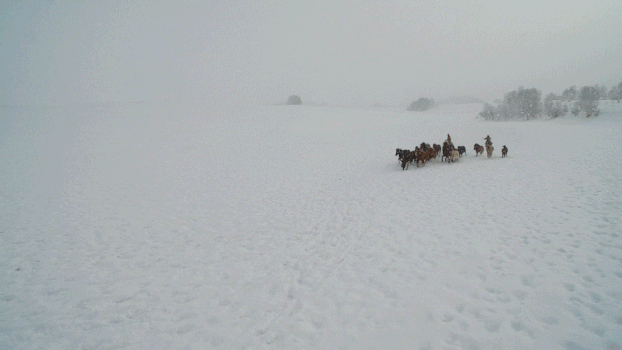 内蒙古乌兰布统坝上草原冬季跑马航拍视频GIF图片素材免费下载