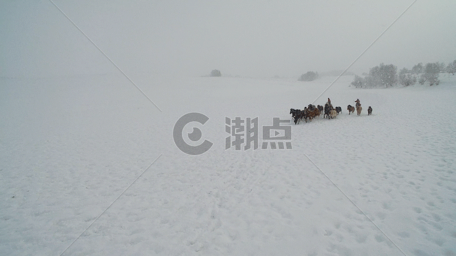 内蒙古乌兰布统坝上草原冬季跑马航拍视频GIF图片素材免费下载