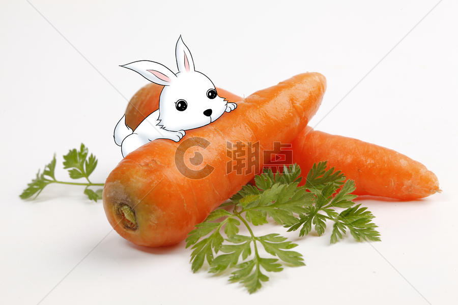 小兔子吃胡萝卜图片素材免费下载