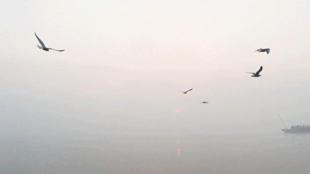 印度瓦拉纳西恒河日出GIF图片素材免费下载