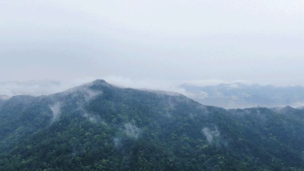 大气磅礴大山森林云雾GIF图片素材免费下载