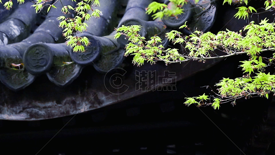 江南的春天GIF图片素材免费下载