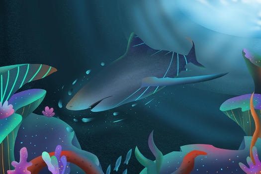 海底世界鲨鱼图片素材免费下载