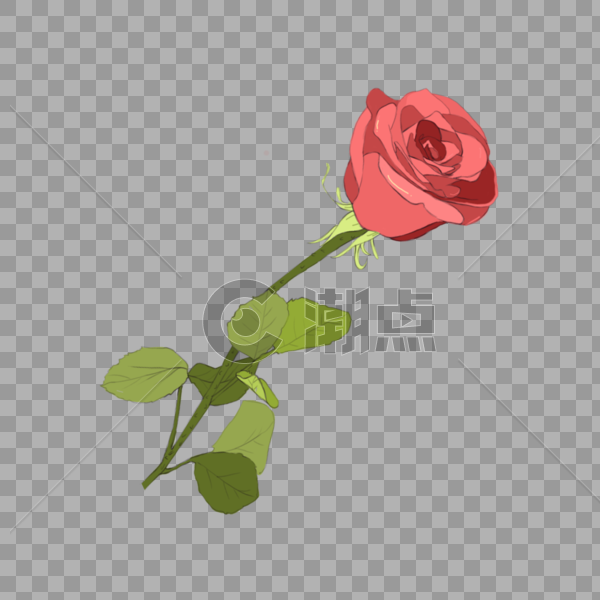 浪漫红玫瑰图片素材免费下载