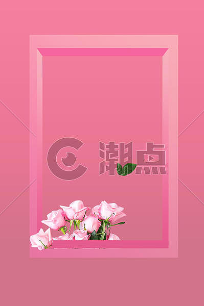 粉色玫瑰背景图片素材免费下载