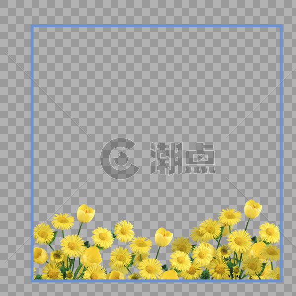 菊花花卉边框图片素材免费下载