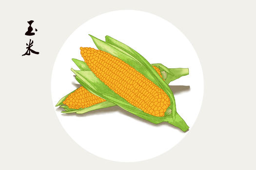 玉米插画图片素材免费下载