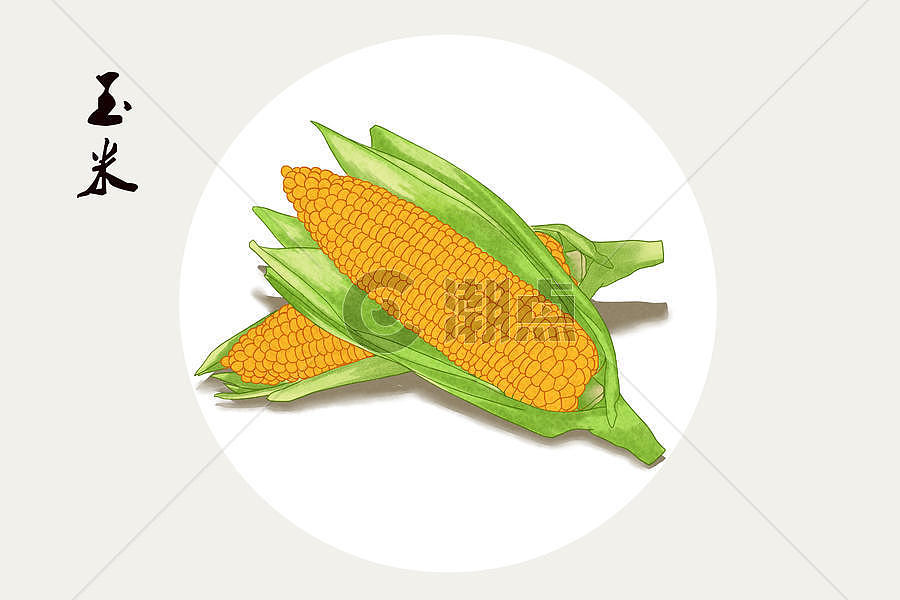 玉米插画图片素材免费下载