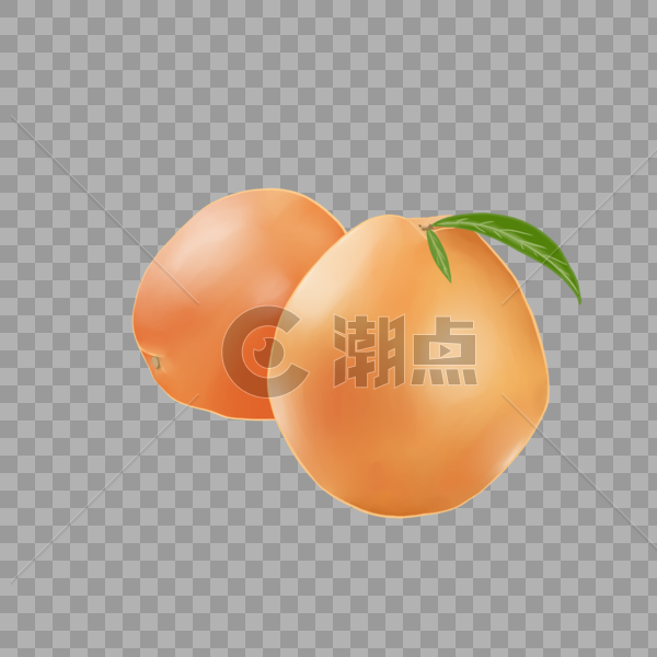 两个柚子图片素材免费下载