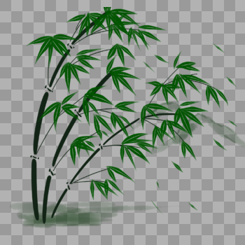 绿色竹子图片素材免费下载