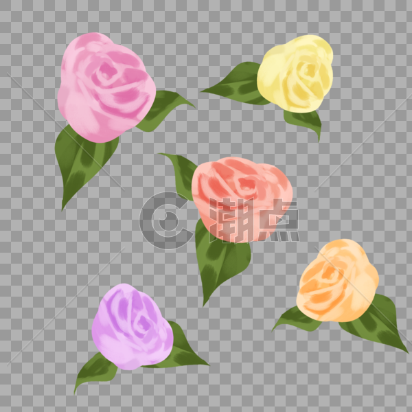 玫瑰花鲜花情人节花朵表白520爱情花束图片素材免费下载