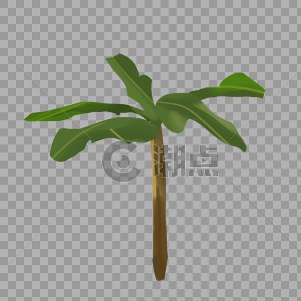夏天椰子树芭蕉树夏日沙滩海边植物大叶图片素材免费下载