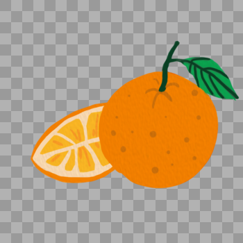 手绘多汁美味的橙子图片素材免费下载