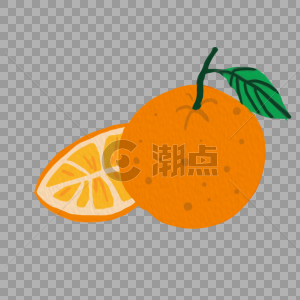 手绘多汁美味的橙子图片素材免费下载