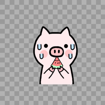 大汗淋漓的小猪开心吃西瓜图片素材免费下载