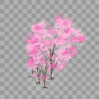 粉色樱花图片素材免费下载