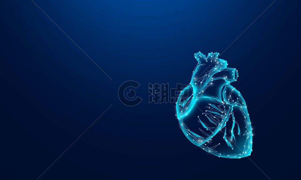 人体心脏图片素材免费下载