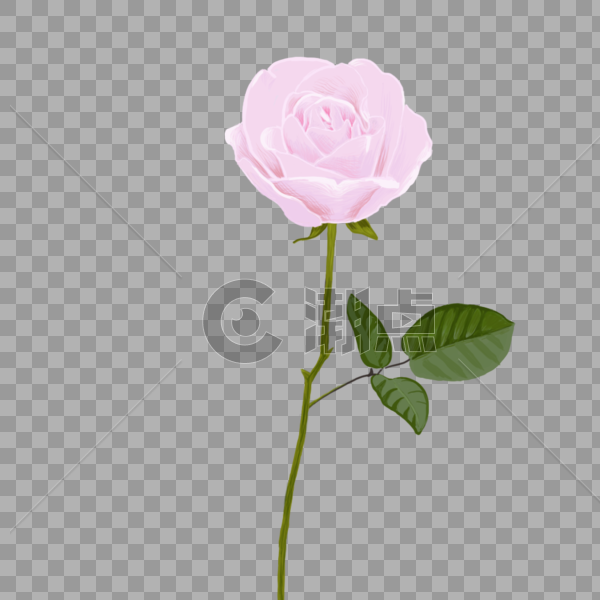 一只粉色玫瑰花免抠元素图片素材免费下载