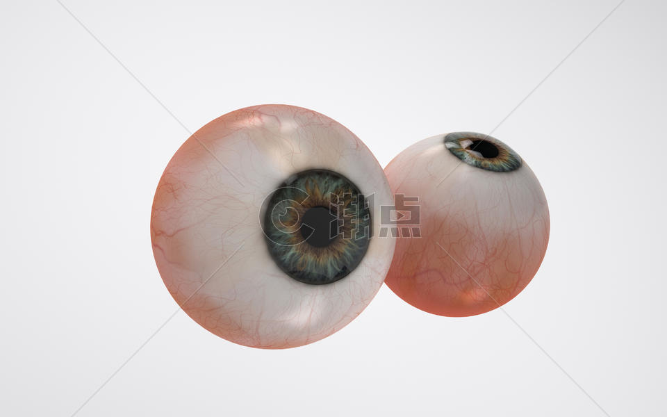 人体器官眼球图片素材免费下载