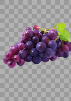葡萄水彩图片素材免费下载