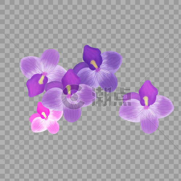 紫色花朵图片素材免费下载