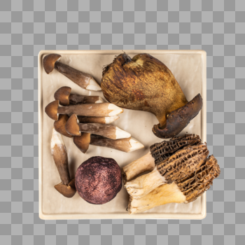 菌菇拼盘图片素材免费下载