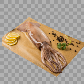新鲜海鲜鱿鱼图片素材免费下载