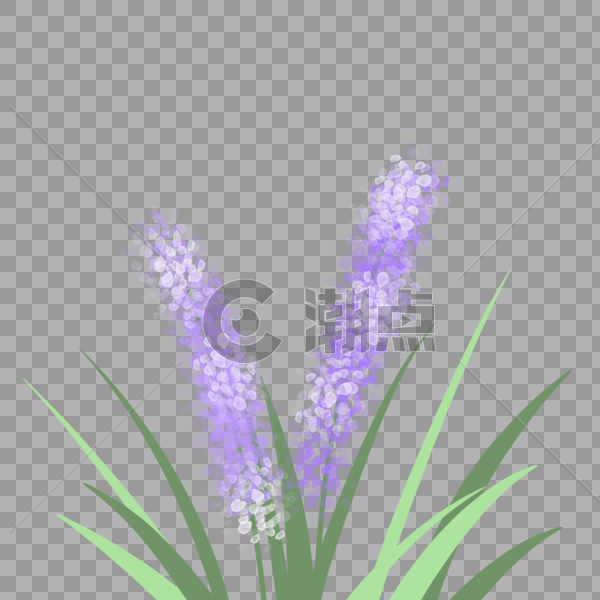 春天夏天紫色花朵植物手绘装饰图案背景图片素材免费下载