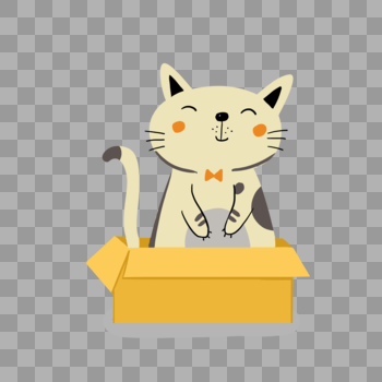 坐在箱子里的小猫图片素材免费下载