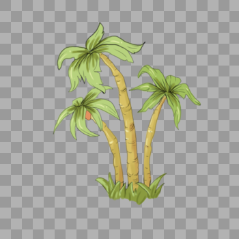 海边植物椰树图片素材免费下载