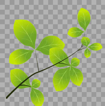 绿色叶片植物图片素材免费下载