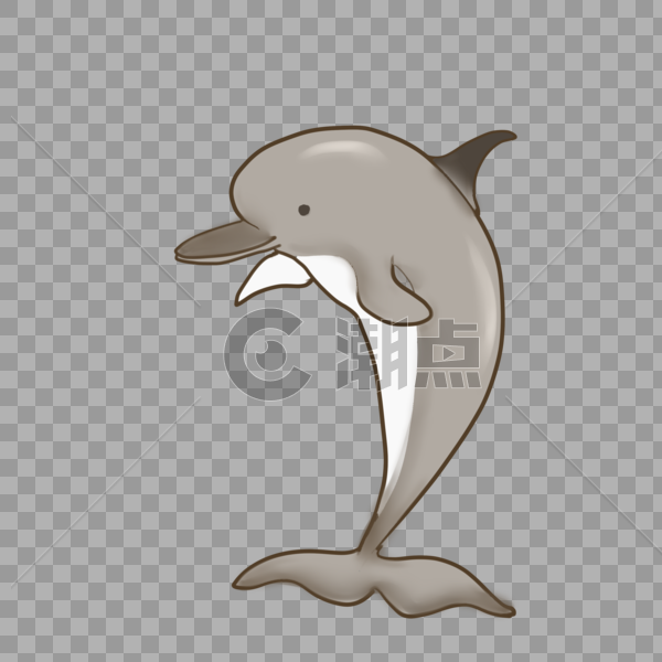 灰色可爱小海豚图片素材免费下载