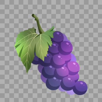 手绘新鲜水果美味葡萄图片素材免费下载