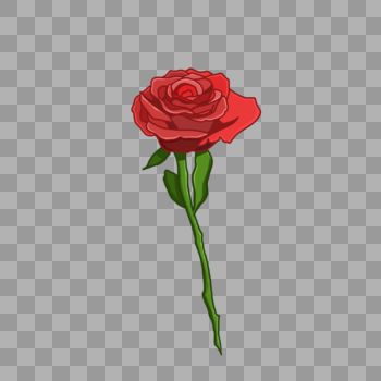 浪漫情人节一朵娇艳的玫瑰花图片素材免费下载