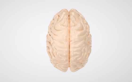 医学人体脑子图片素材免费下载