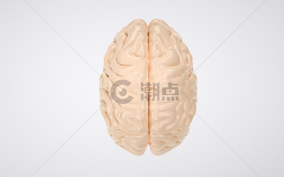 医学人体脑子图片素材免费下载
