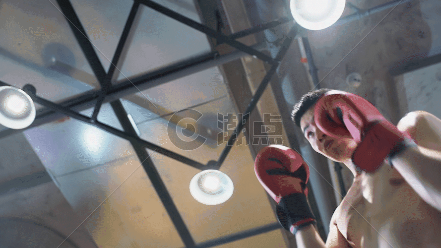 拳套比赛 GIF图片素材免费下载