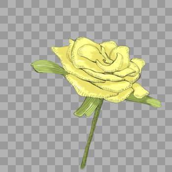 一朵黄色玫瑰花图片素材免费下载