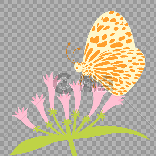 蝴蝶与花卉图片素材免费下载