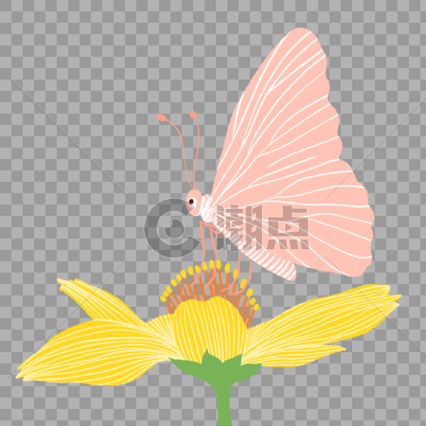 蝴蝶花卉插画图片素材免费下载