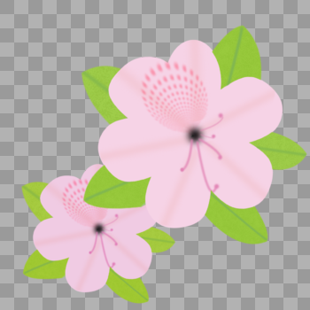 鼠绘漂亮的花朵绿叶衬托的花朵图片素材免费下载