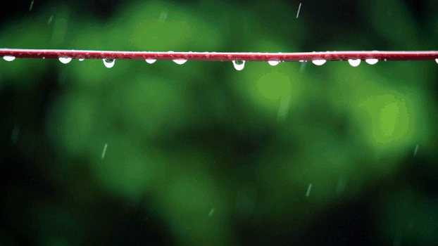 雨天电线杆上的水滴GIF图片素材免费下载